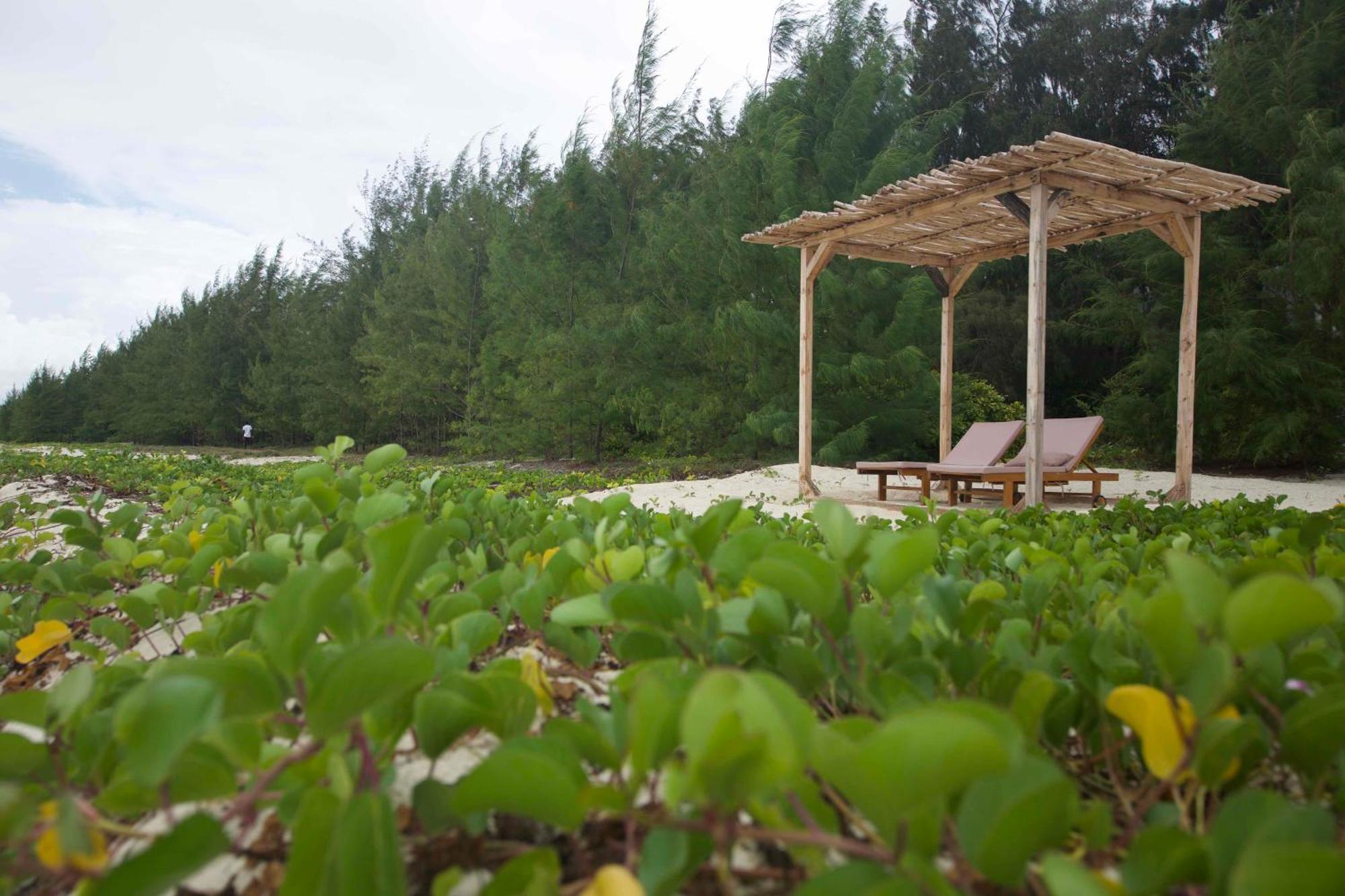 Kivuli Beach Resort 파제 외부 사진